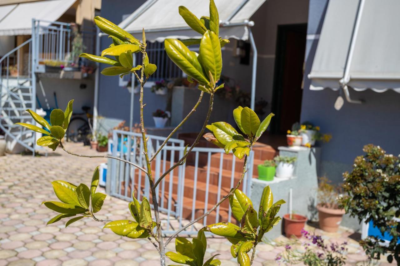 Vila Aulona Vlorë Buitenkant foto